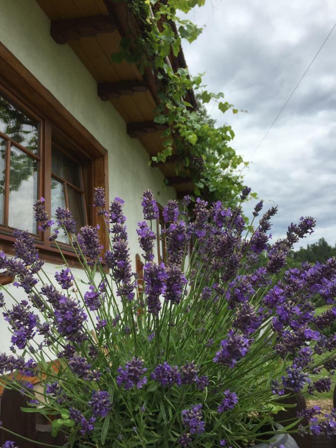 Dom Rodziny Sojkow Bed & Breakfast Бялка Татранска Екстериор снимка