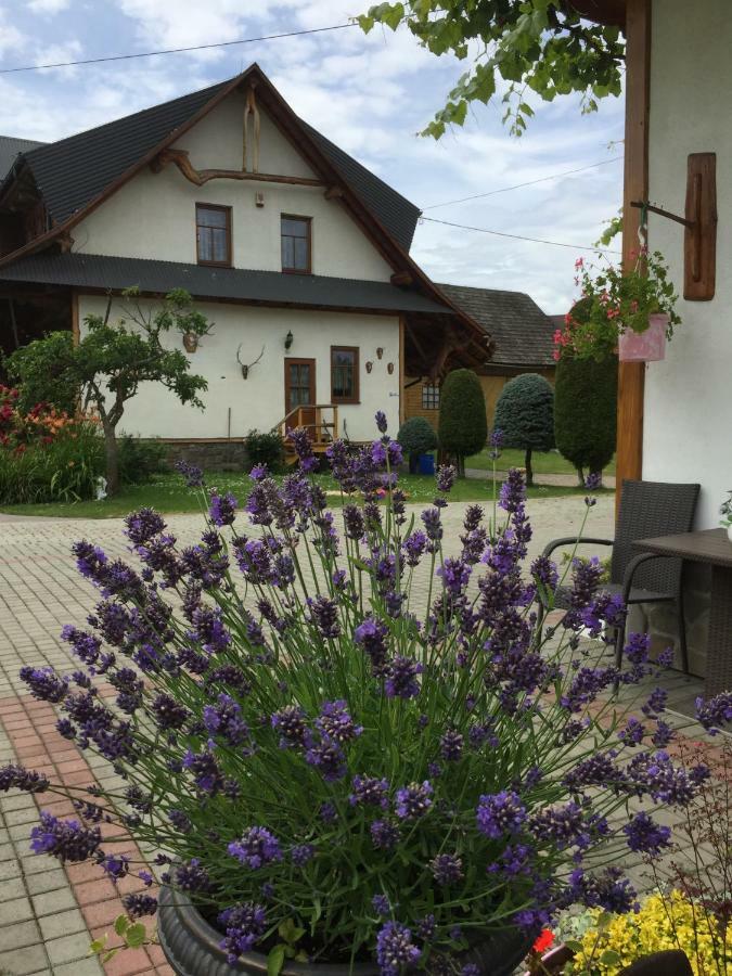 Dom Rodziny Sojkow Bed & Breakfast Бялка Татранска Екстериор снимка